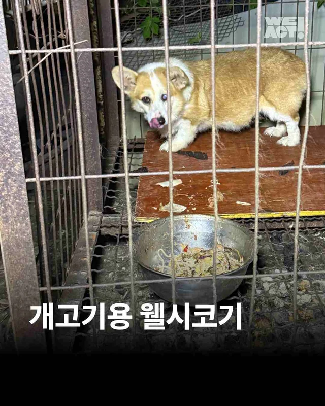 성남개농장 현장 사진