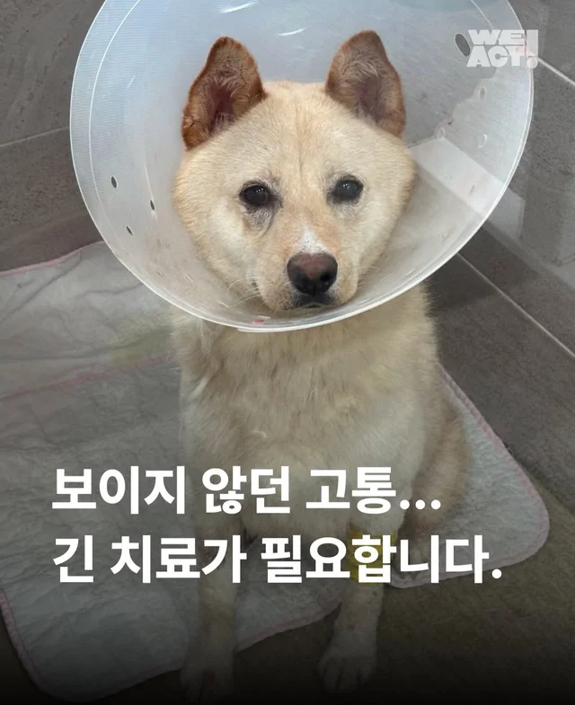 보이지 않던 고통 현장 사진