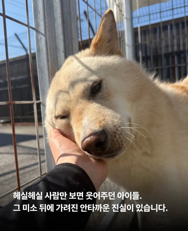 보이지 않던 고통 현장 사진
