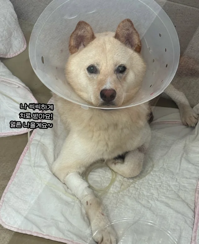보이지 않던 고통 현장 사진