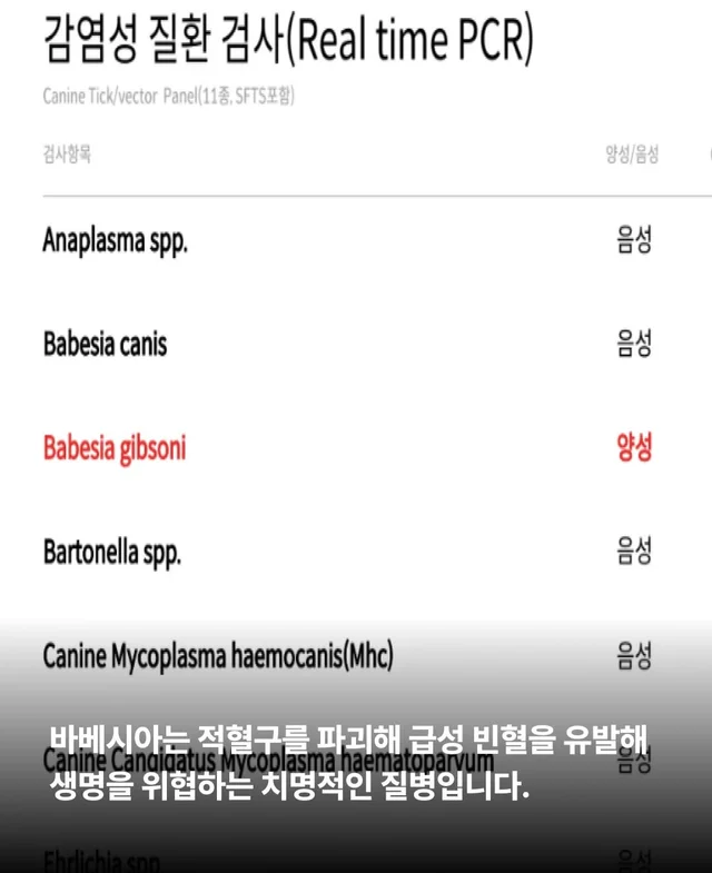 보이지 않던 고통 현장 사진