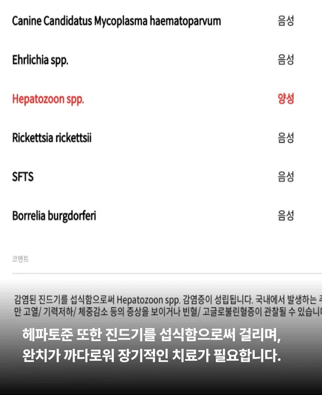 보이지 않던 고통 현장 사진