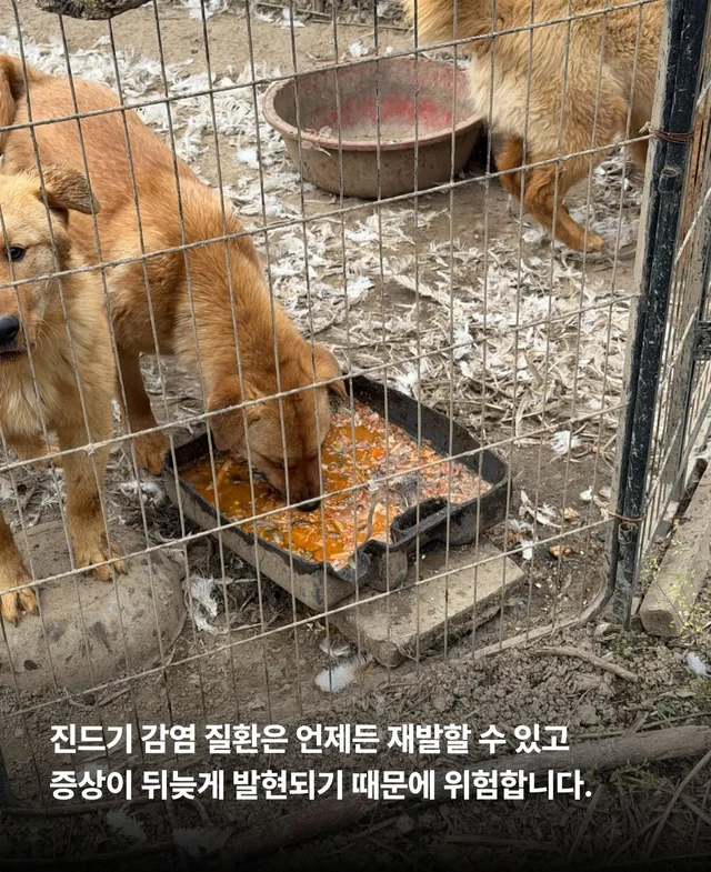 보이지 않던 고통 현장 사진
