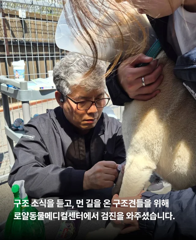 보이지 않던 고통 현장 사진