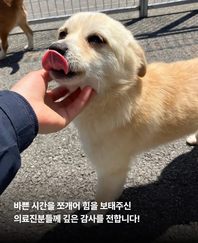 보이지 않던 고통 현장 사진