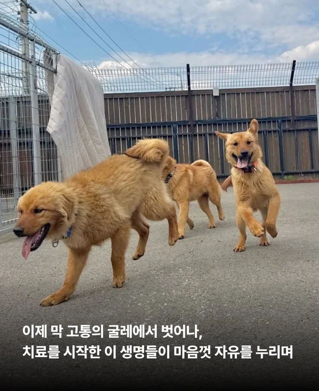 보이지 않던 고통 현장 사진