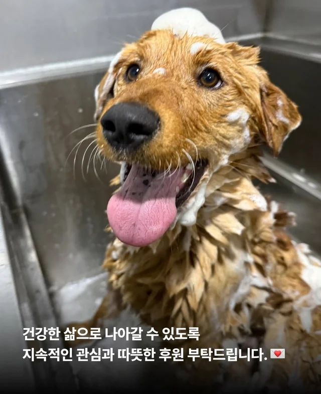 보이지 않던 고통 현장 사진