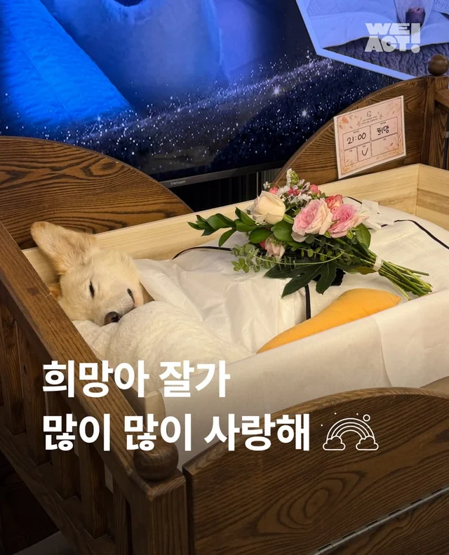 희망아 잘가 많이많이 사랑해 현장 사진
