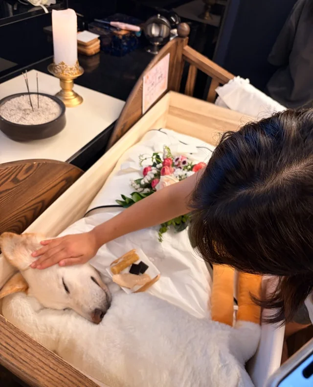 희망아 잘가 많이많이 사랑해 현장 사진