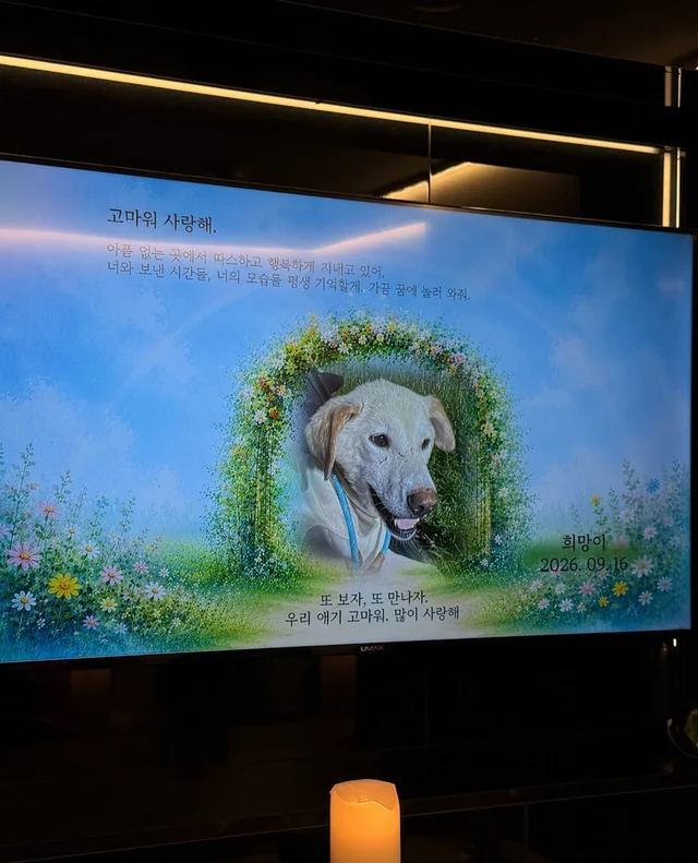 희망아 잘가 많이많이 사랑해 현장 사진