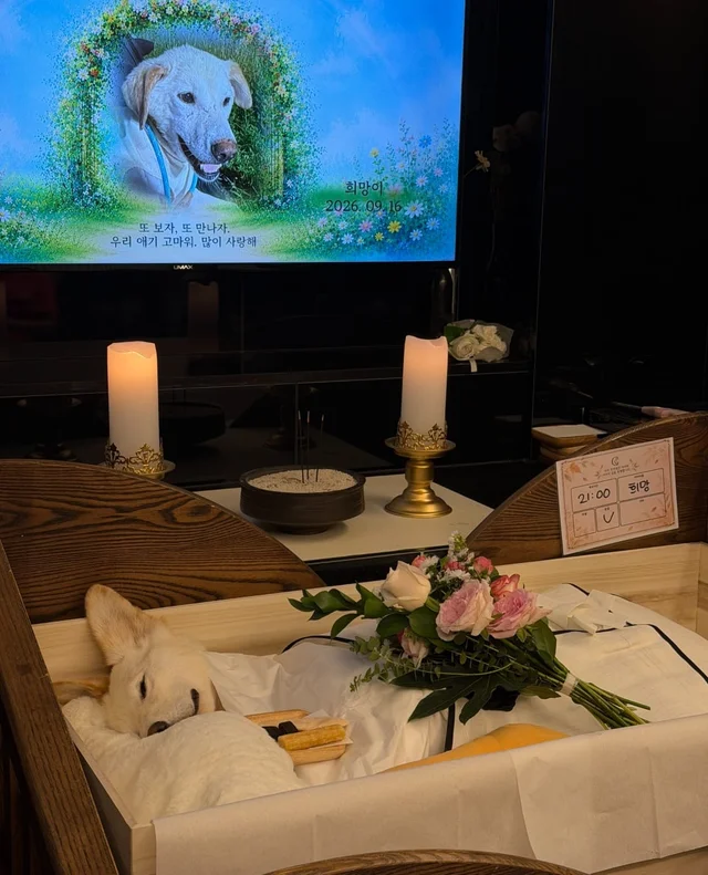 희망아 잘가 많이많이 사랑해 현장 사진