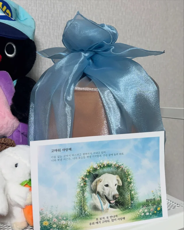 희망아 잘가 많이많이 사랑해 현장 사진