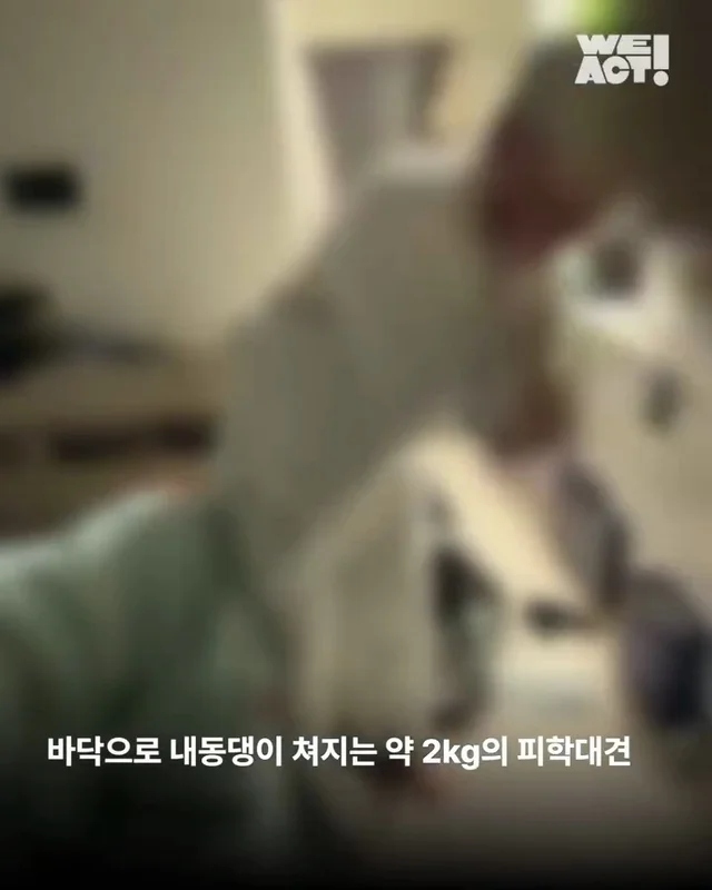 광진구동물학대 현장 사진