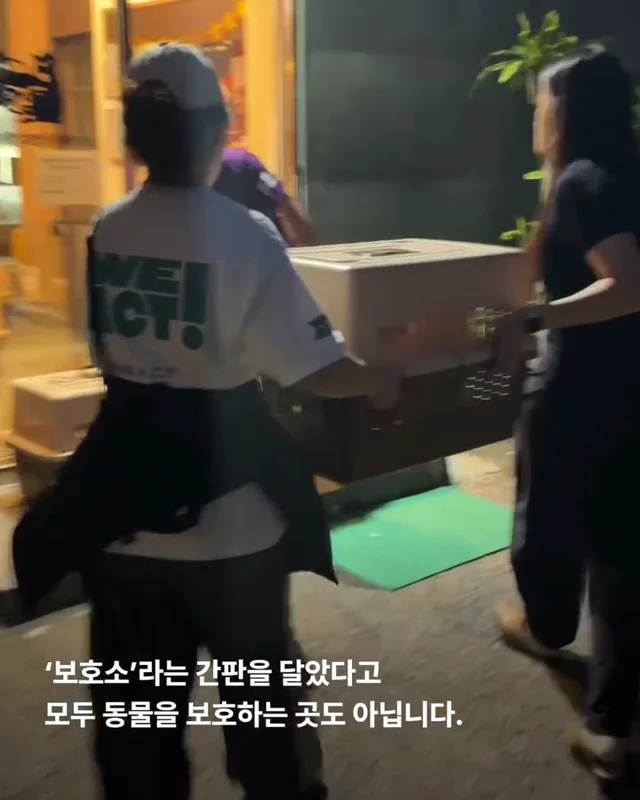 작고 귀여운 개에 속지말아주세요 현장 사진