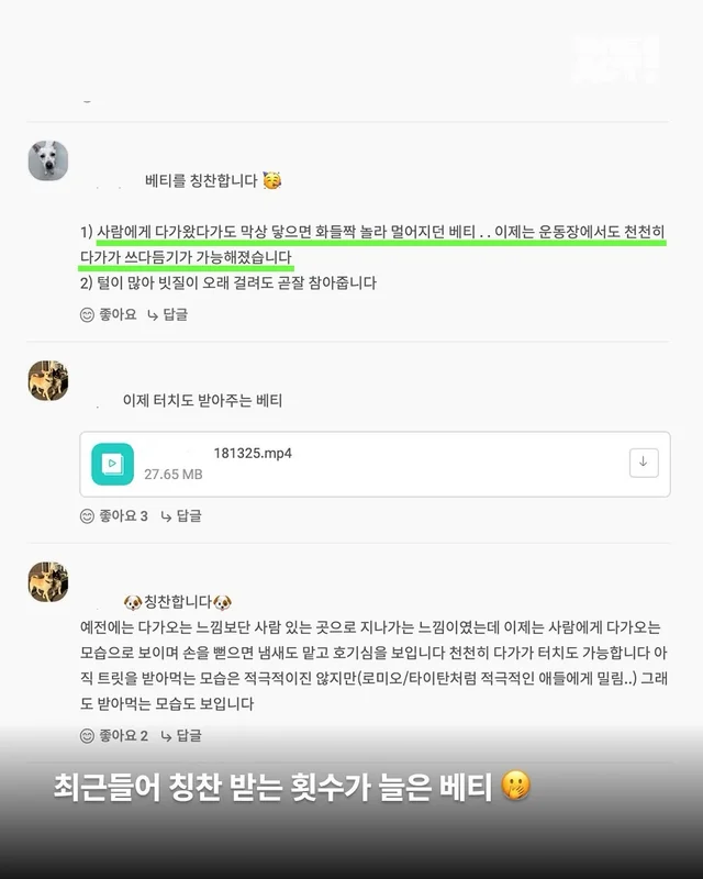 명예의 전당 1 - 위액트 베티, 윌리스 (시흥개농장) 현장 사진