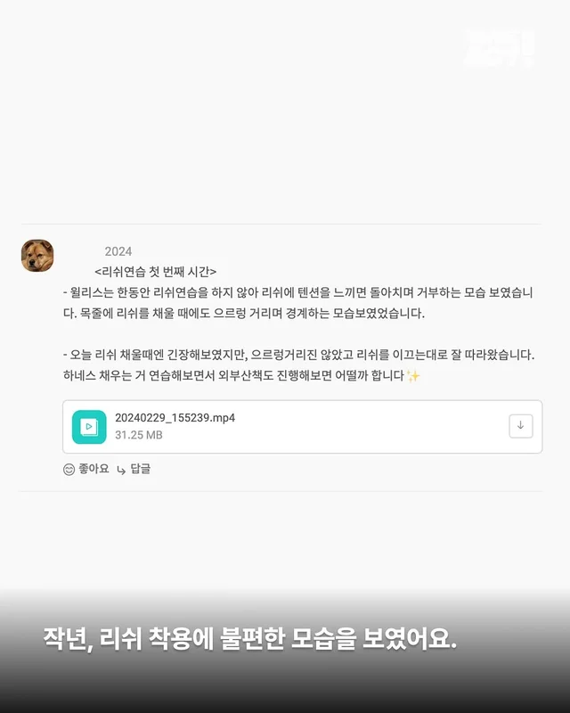 명예의 전당 1 - 위액트 베티, 윌리스 (시흥개농장) 현장 사진