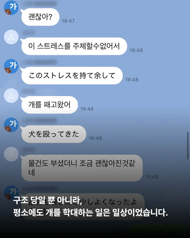 작은 개의 피눈물 현장 사진
