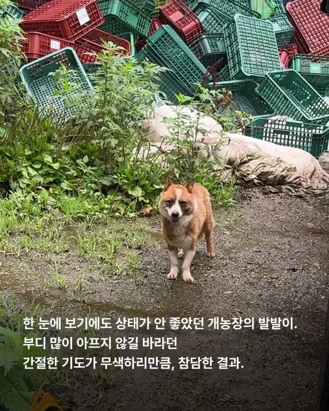 이대로 죽고싶지 않아요 현장 사진