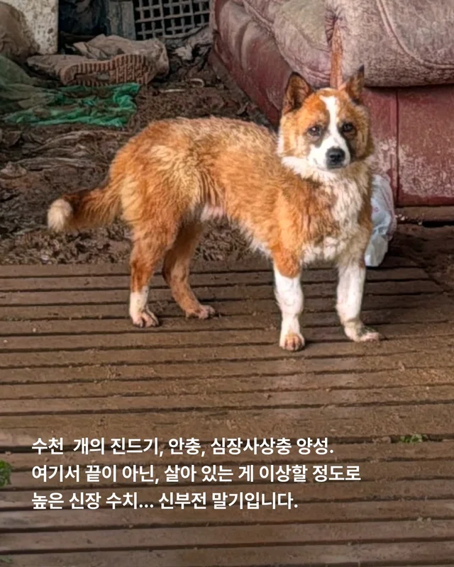 이대로 죽고싶지 않아요 현장 사진