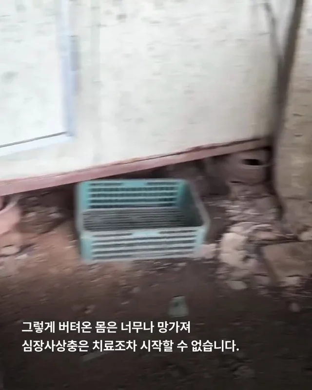 이대로 죽고싶지 않아요 현장 사진
