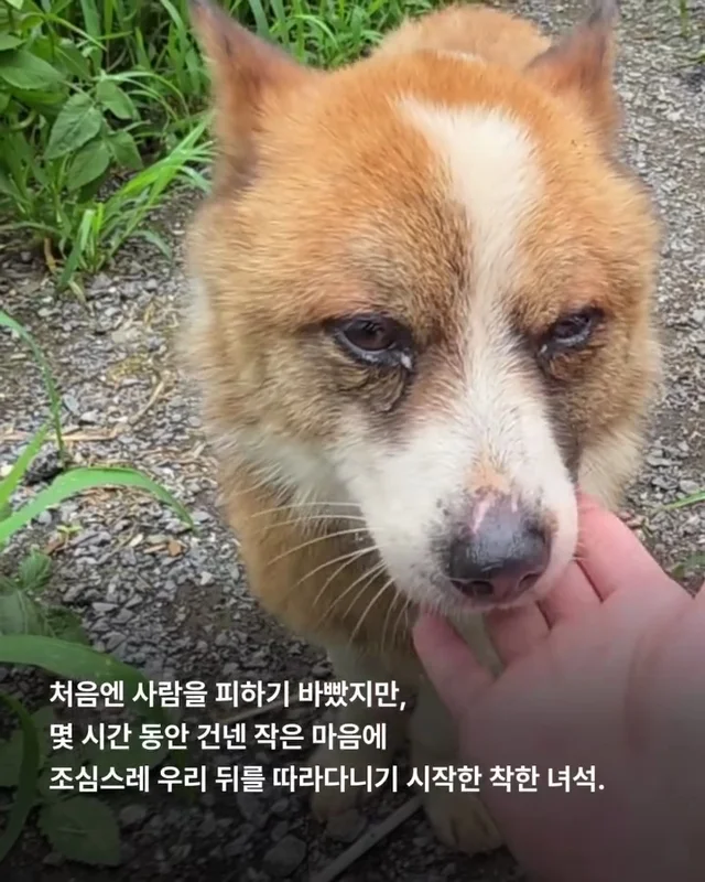 이대로 죽고싶지 않아요 현장 사진