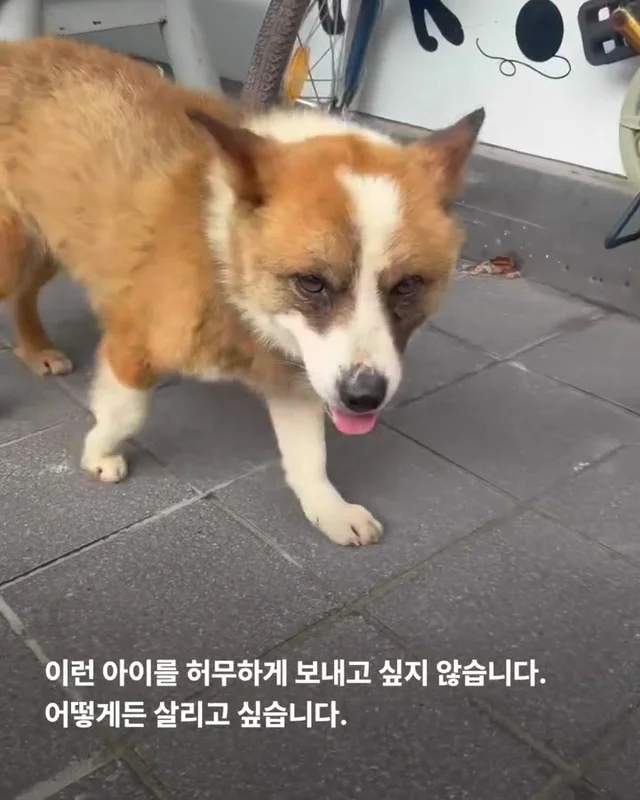 이대로 죽고싶지 않아요 현장 사진