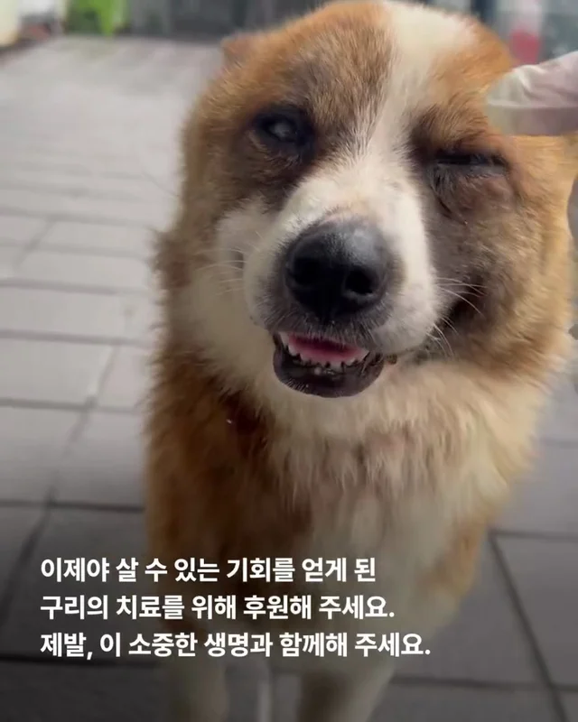 이대로 죽고싶지 않아요 현장 사진