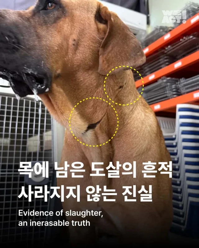 목에 남은 상처, 사라지지 않은 진실 현장 사진