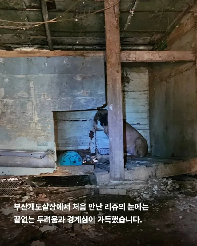 목에 남은 상처, 사라지지 않은 진실 현장 사진