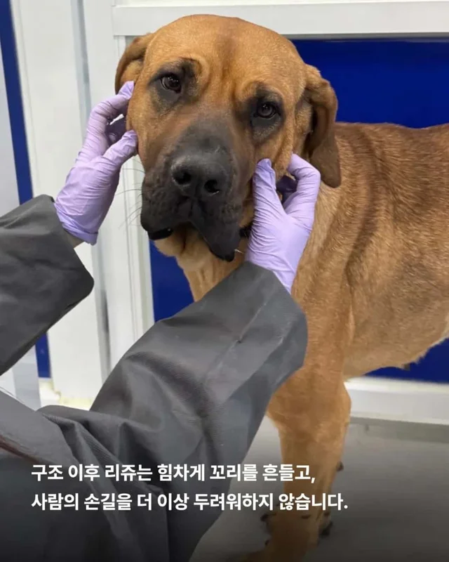 목에 남은 상처, 사라지지 않은 진실 현장 사진