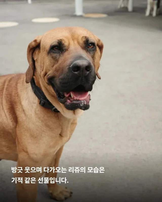 목에 남은 상처, 사라지지 않은 진실 현장 사진