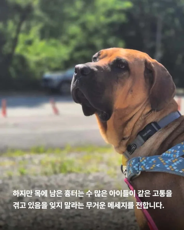 목에 남은 상처, 사라지지 않은 진실 현장 사진