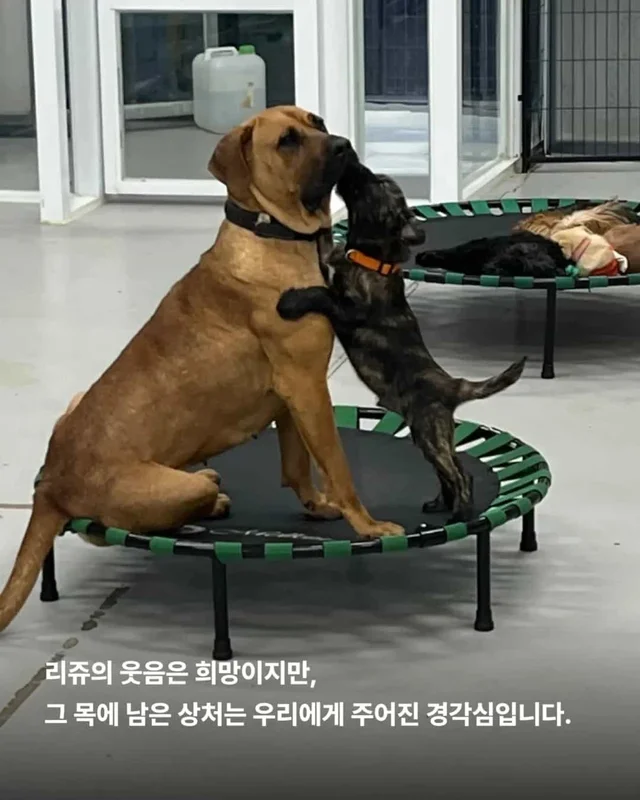목에 남은 상처, 사라지지 않은 진실 현장 사진