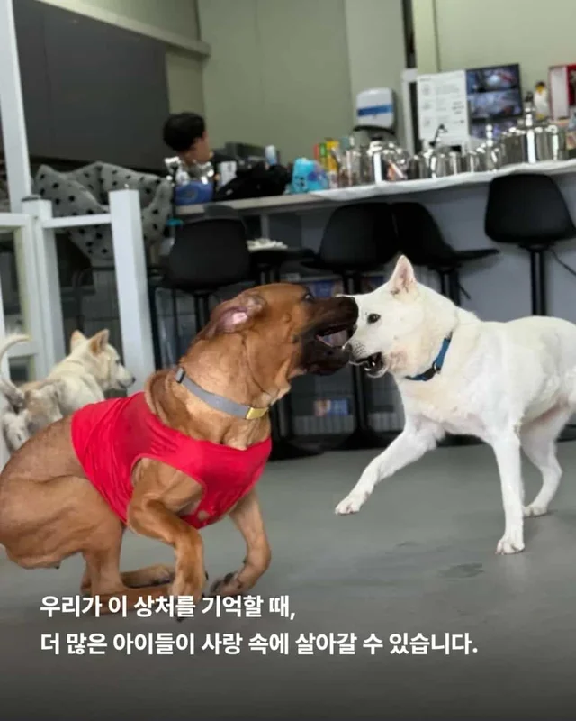 목에 남은 상처, 사라지지 않은 진실 현장 사진
