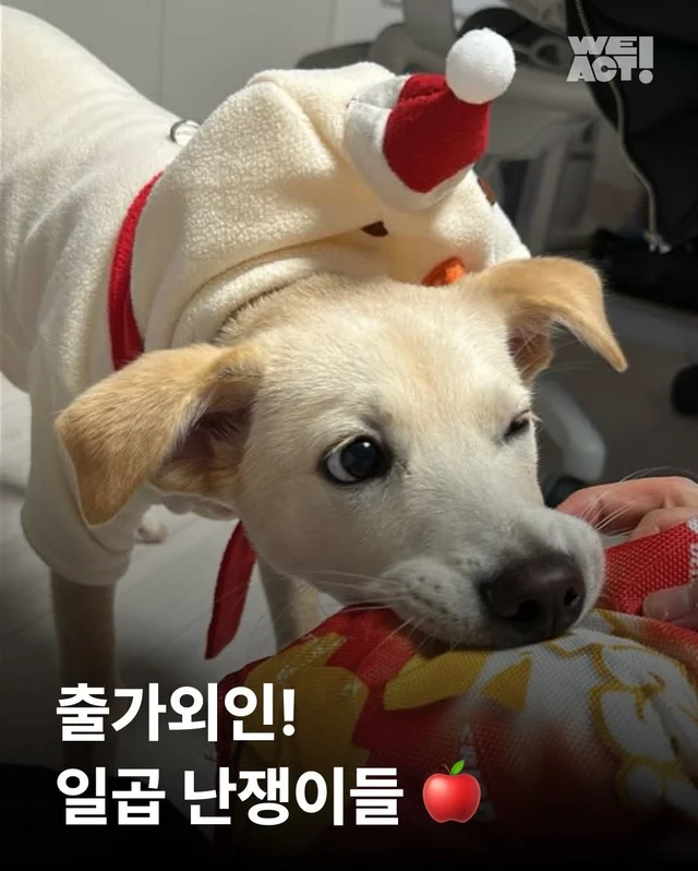 일곱 난쟁이들의 해피엔딩 현장 사진