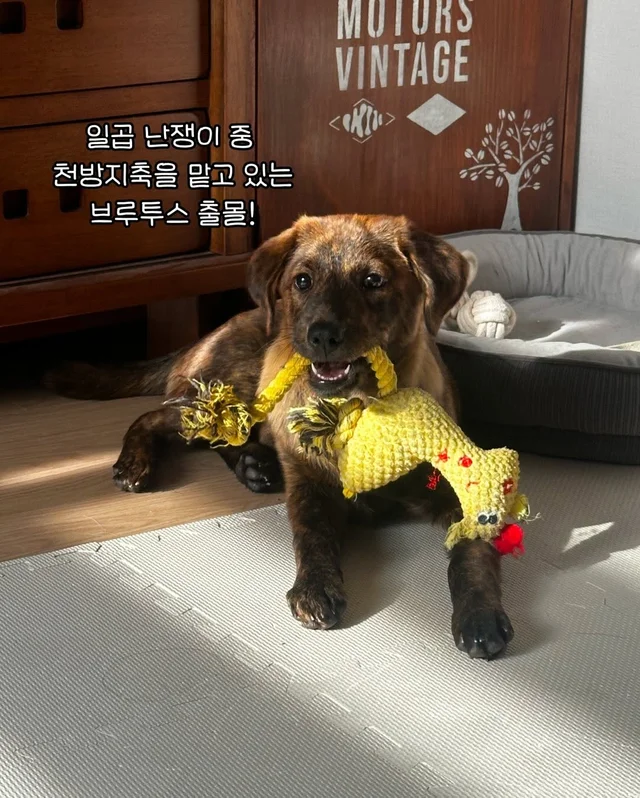 일곱 난쟁이들의 해피엔딩 현장 사진