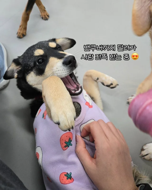 일곱 난쟁이들의 해피엔딩 현장 사진