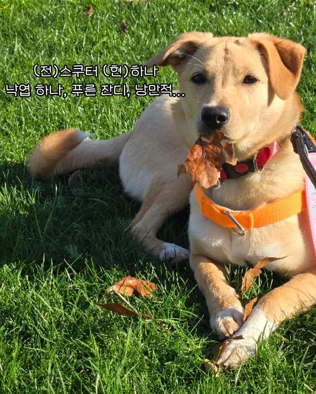 일곱 난쟁이들의 해피엔딩 현장 사진
