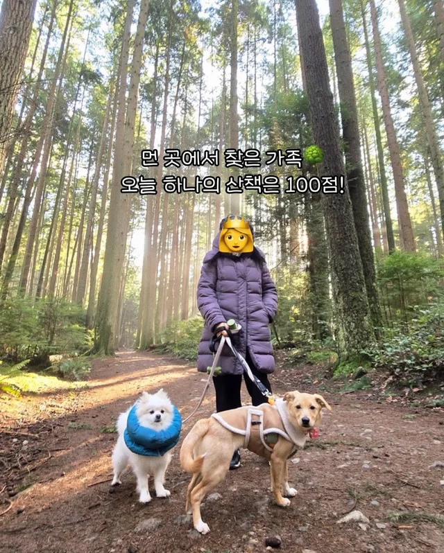 일곱 난쟁이들의 해피엔딩 현장 사진