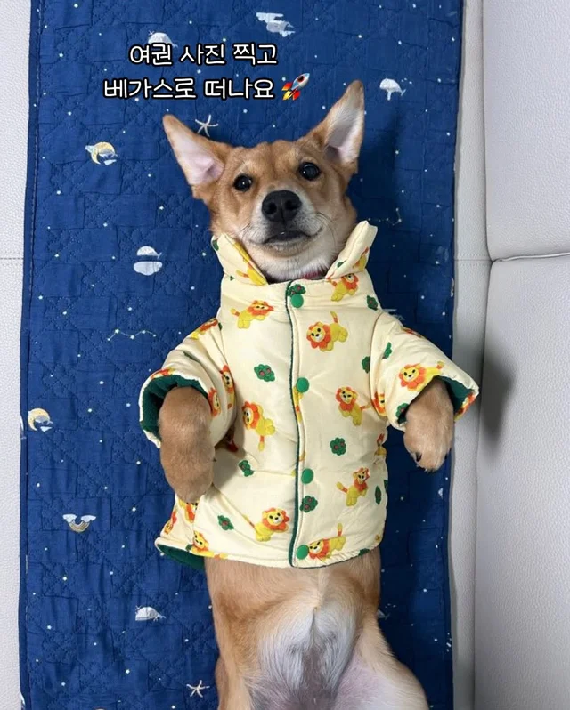 일곱 난쟁이들의 해피엔딩 현장 사진