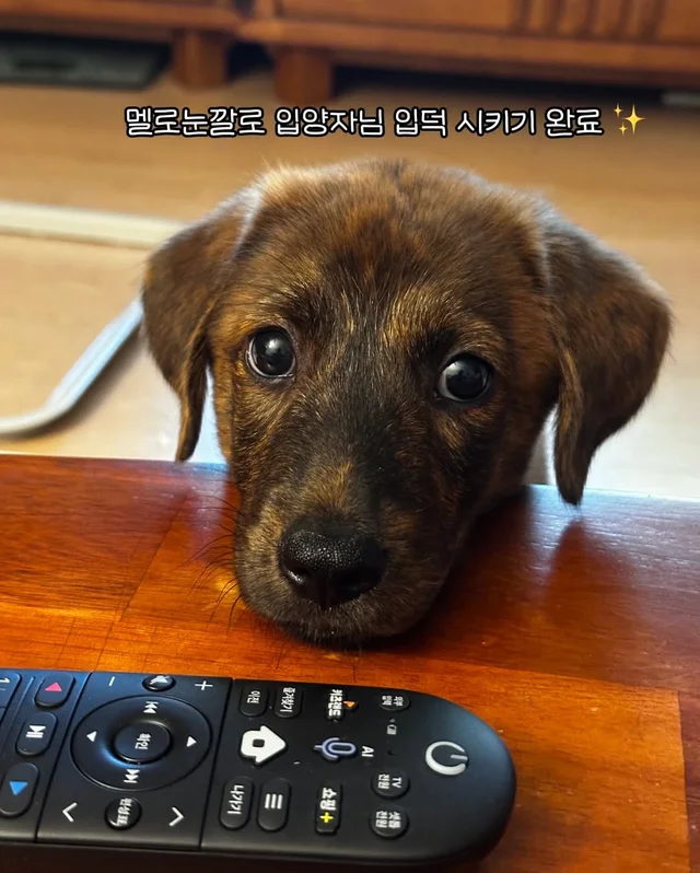 일곱 난쟁이들의 해피엔딩 현장 사진