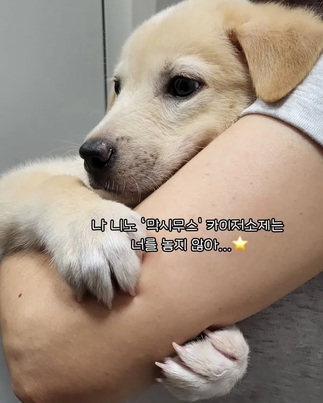 일곱 난쟁이들의 해피엔딩 현장 사진