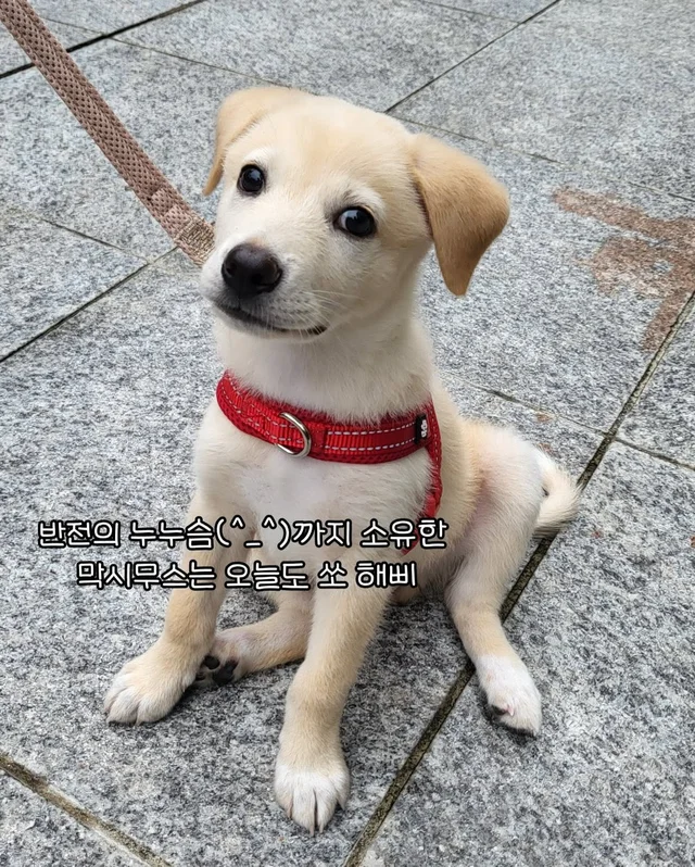 일곱 난쟁이들의 해피엔딩 현장 사진