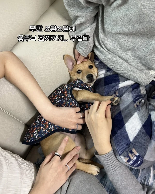 일곱 난쟁이들의 해피엔딩 현장 사진