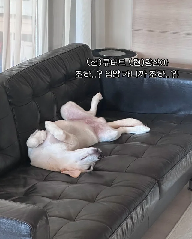 일곱 난쟁이들의 해피엔딩 현장 사진