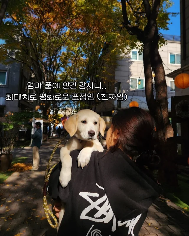 일곱 난쟁이들의 해피엔딩 현장 사진