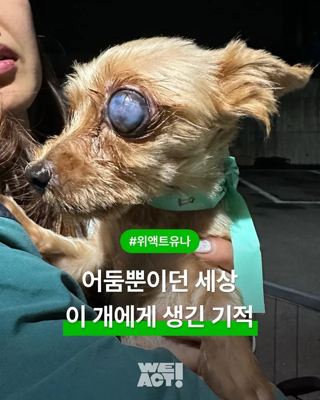 부산 개백화점, 위액트 유나 현장 사진
