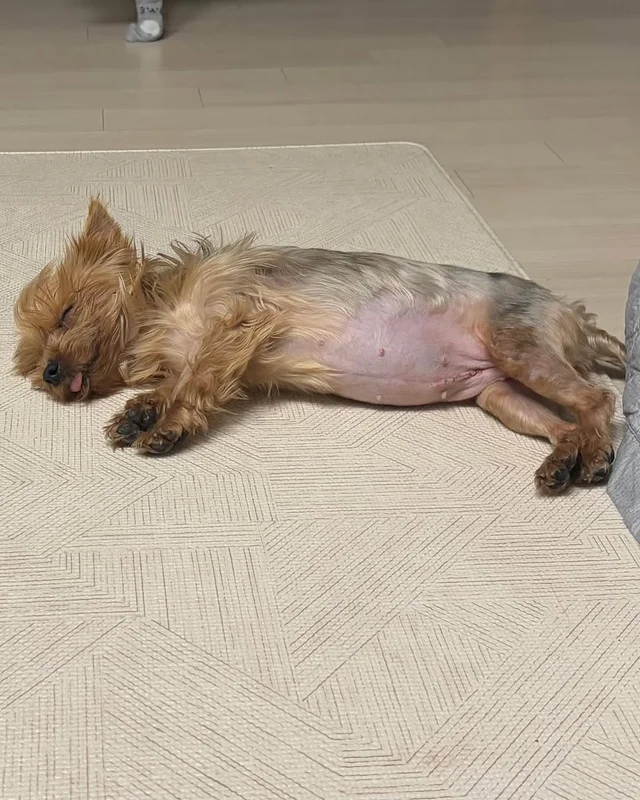 부산 개백화점, 위액트 유나 현장 사진