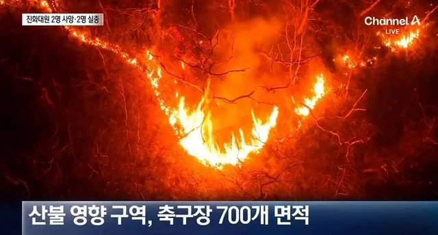 산청 산불 구조 현장 사진