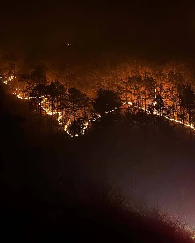 산청 산불 구조 현장 사진